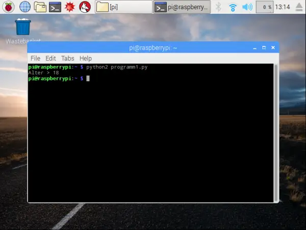 Raspberry Pi Programming Learning Python Shell Execute